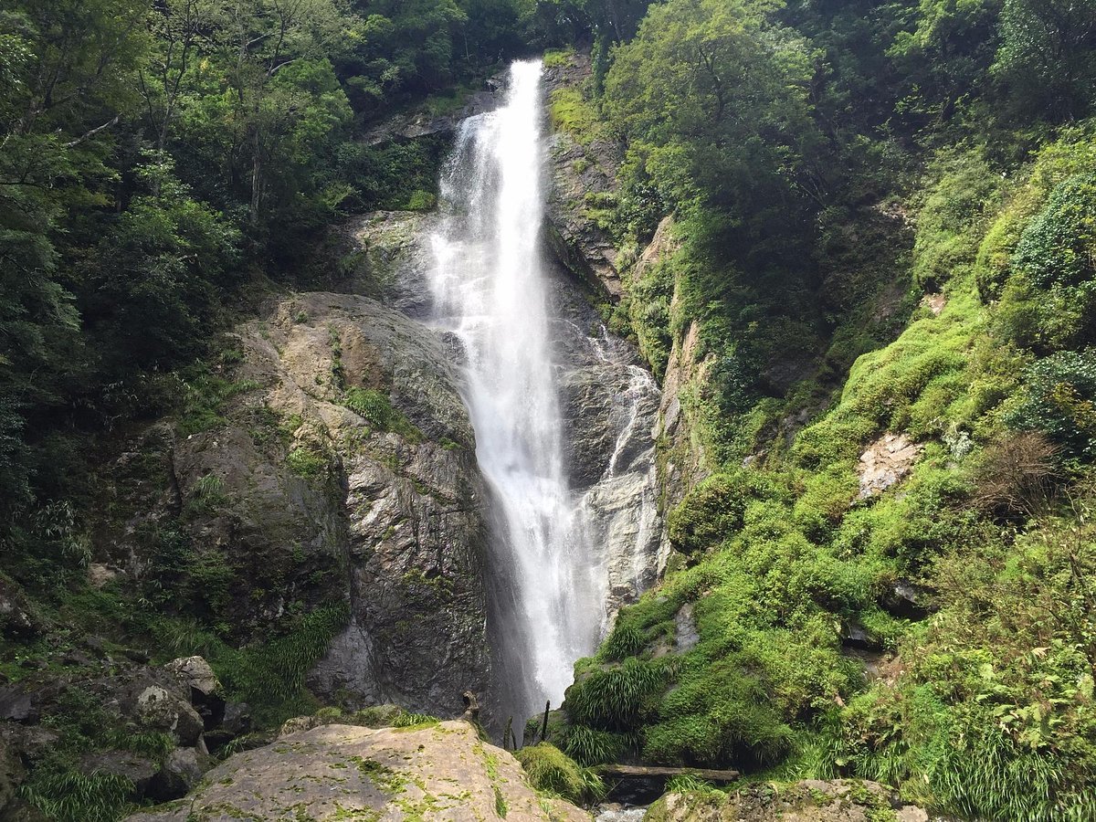 🏞️ 센단토도로 폭포(栴壇轟の滝) 이미지 6